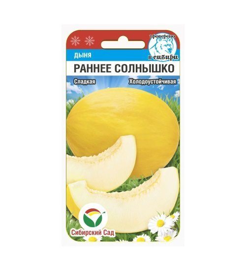 Дыня Раннее солнышко 7 шт