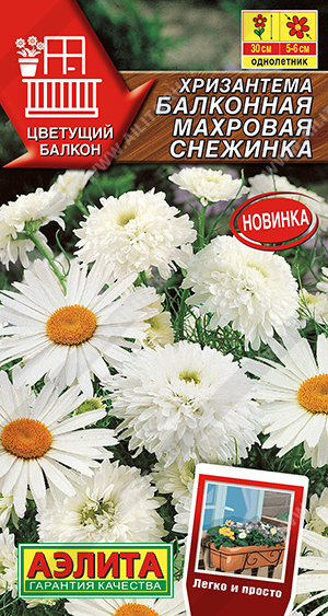 Хризантема балконная Махровая снежинка 0,2г
