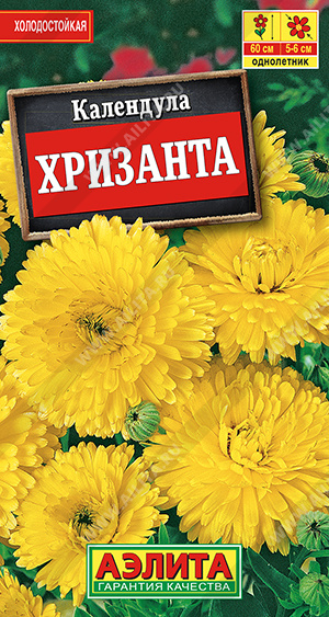 Календула Хризанта 0,5г