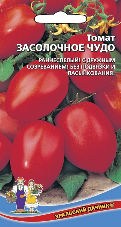 Томат Засолочное чудо