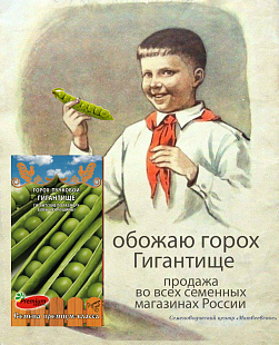 Горох Гигантище 3г