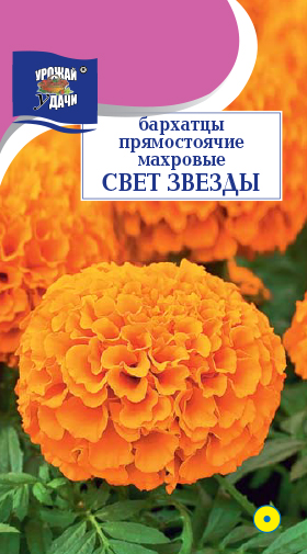 Бархатцы Свет звезды махр.прям. 0,2г