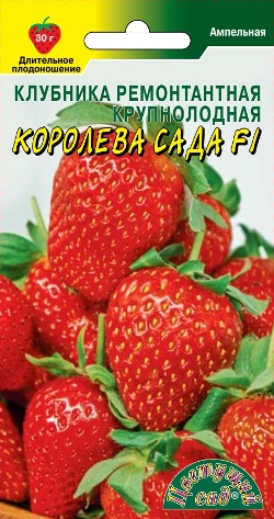 Клубника Королева сада 5шт ремон.круп.