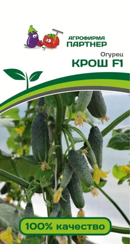 Огурец Крош 10шт