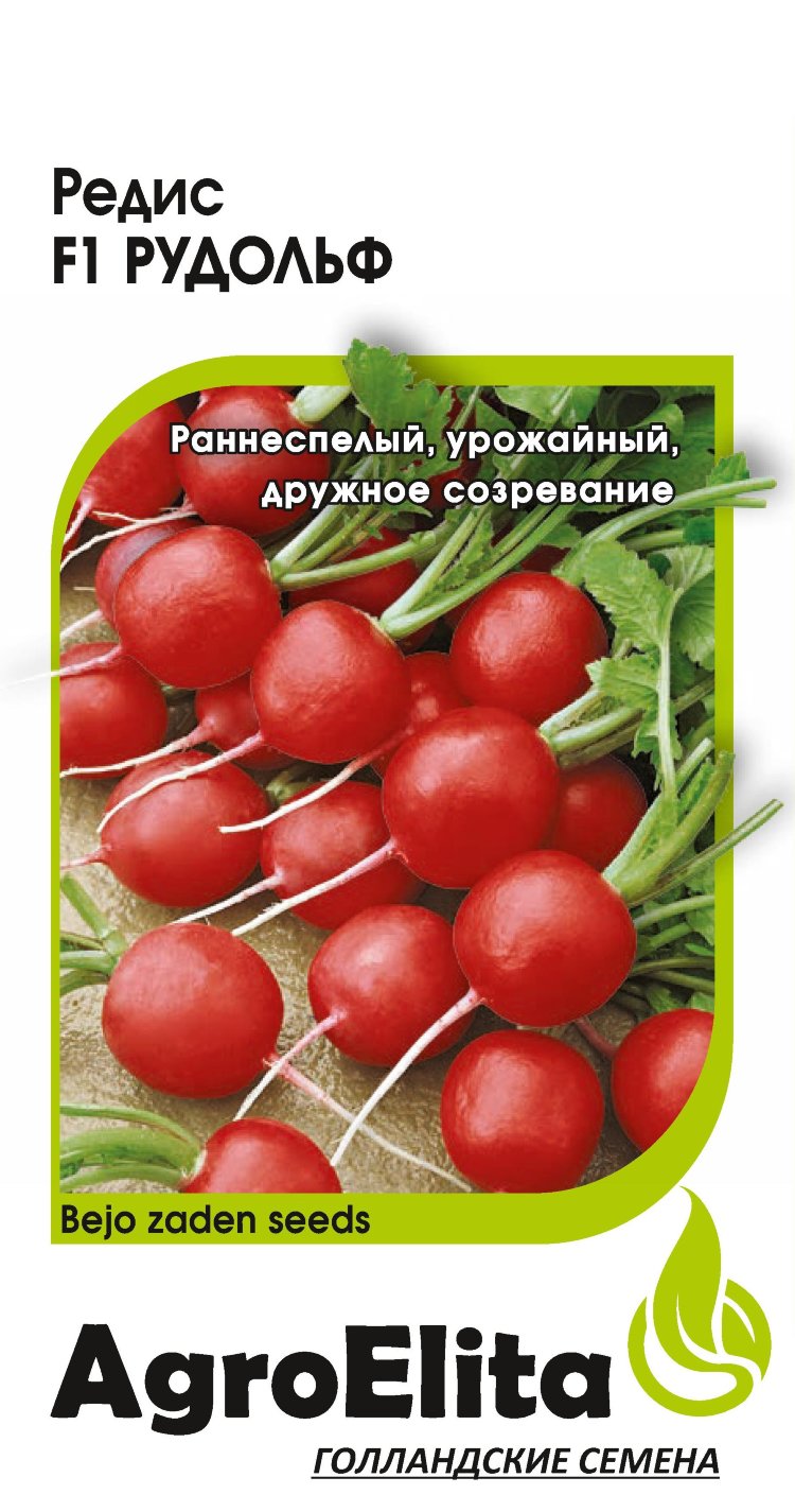 Редис Рудольф 1г (Бейо)