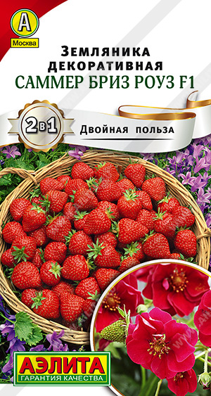 Земляника Саммер Бриз Роуз 5шт
