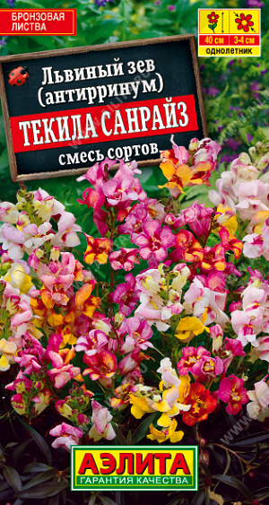 Львиный зев Текила санрайз 0,1г