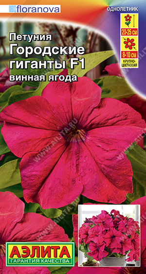 Петуния Городские гиганты винная ягода 7шт