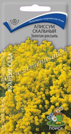 Алиссум Золотая россыпь (скальный) 0,1г