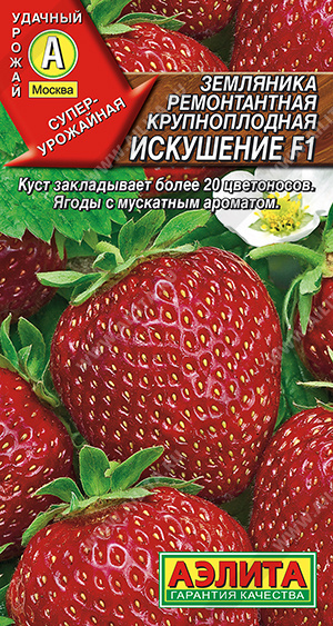 Земляника Искушение 10шт крупн. ремон.