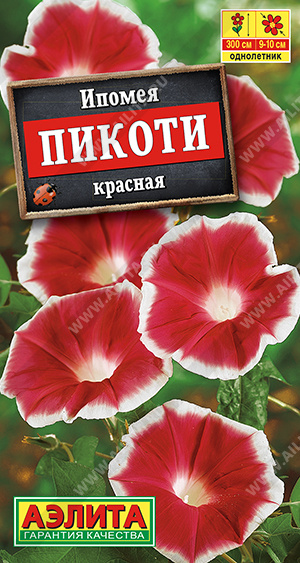 Ипомея Пикоти красная 4шт
