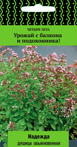 Душица Надежда 20шт (Четыре лета)