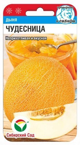 Дыня Чудесница 7 шт