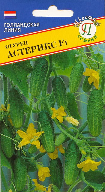 Огурец Астерикс 7шт (Голландия)