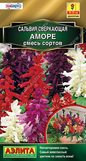 Сальвия Аморе смесь 7шт