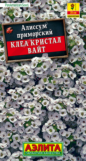 Алиссум Клеа кристал вайт 4шт