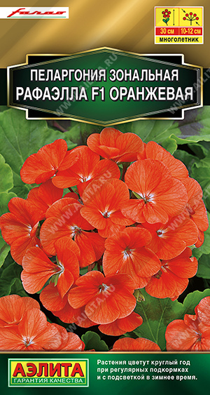 Пеларгония Рафаэлла оранжевая 5шт