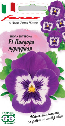 цВиола Пандора пурпурная 5шт