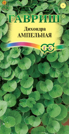 Дихондра Ампельная 4шт