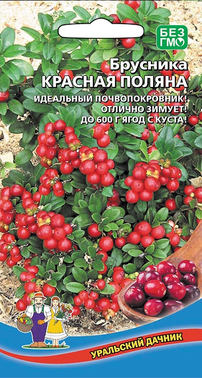 Брусника Красная Поляна 20шт
