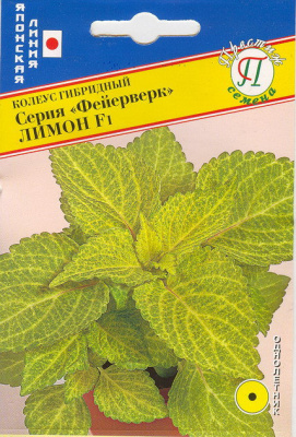цКолеус Фейерверк Лимон
