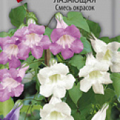 Азарина смесь 10шт