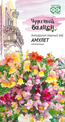 цАнтирринум Амулет (Львиный зев) 5шт Чудесный балкон