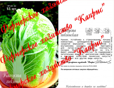 Капуста пекинская Маноко (20пак*15шт) Нидерланды