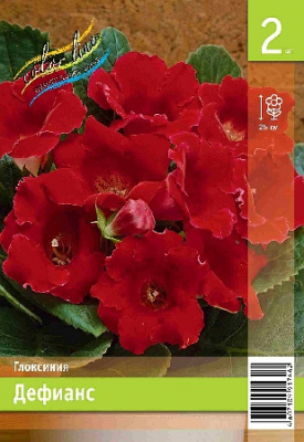 Глоксиния ЭКОНОМ-СЕРИЯ ДЕФИАНС (1/30)
