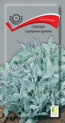 цПижма Серебряное кружево 10шт