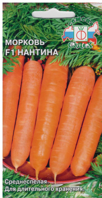 Морковь Нантина 200шт