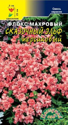 цФлокс Сказочный эльф персиковый 5шт