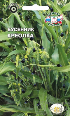 Бусенник Креолка 1г