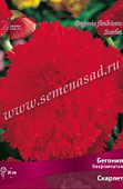 Бегония Бахромчатая Скарлет (2 шт)