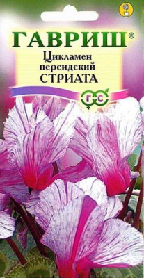 цЦикламен Стриата 3 шт