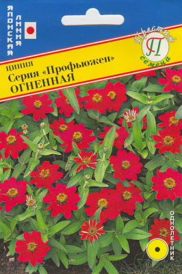 цЦинния Профьюжен Огненная 10шт