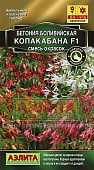цБегония Копакабана смесь 5шт