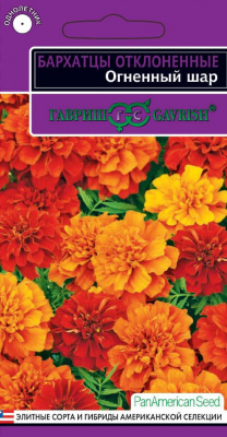 Бархатцы Огненный шар (хамелеон) 5шт откл.