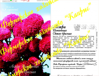 цАстра Помпонная св-красная Совершенство (20пак*1г)