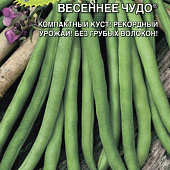 Фасоль Весеннее Чудо сахарная 10шт куст.спарж.