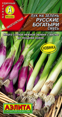 Лук на зелень Русские богатыри смесь 1г