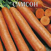 Морковь Самсон (лента) 8м
