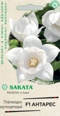 цПлатикодон Антарес 5шт