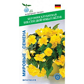 цБегония Нон-Стоп Джой Мокка Жёлтая 5шт VITA GREEN
