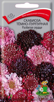 Скабиоза Разбитое сердце 10шт