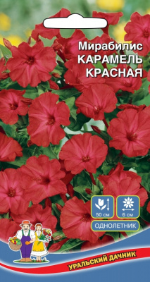 цМирабилис Карамель Красная