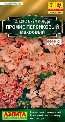 цФлокс Промис персиковый друмм. 10шт