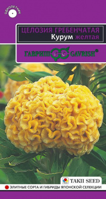 Целозия Курум желтая гребенчатая 8шт