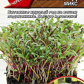 Микрозелень Мангольд Микс 5г