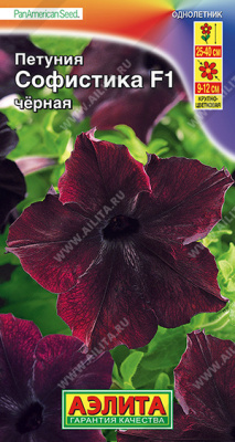 Петуния Софистика Черная 4шт